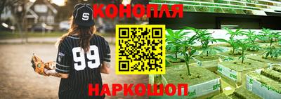 гашиш Кимры