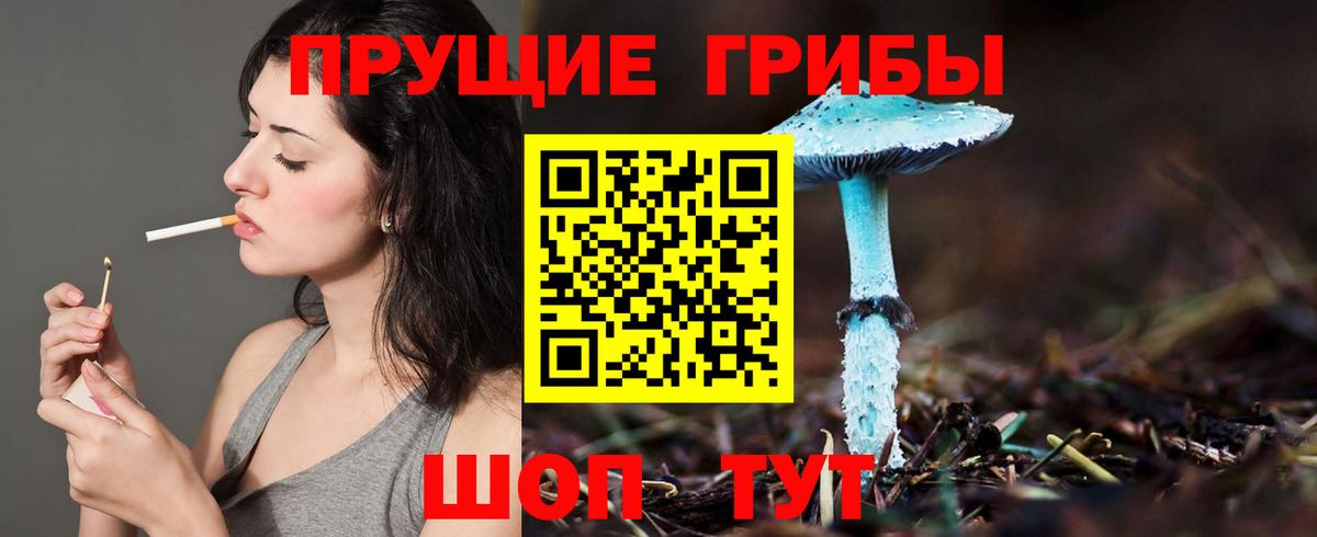 Кстово  Галлюциногенные грибы Psilocybe  Вход с VPN  Псилоцибиновые грибы GOLDEN TEACHER 